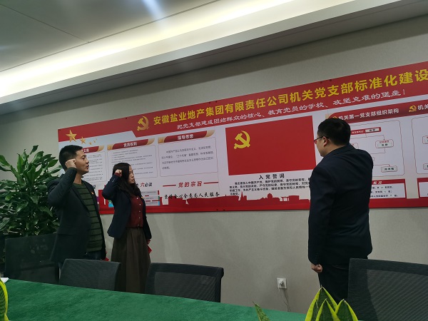安徽鹽業(yè)地產(chǎn)集團(tuán)機(jī)關(guān)第一黨支部開展“佩黨徽、誦誓詞、贈(zèng)黨章、上黨課”黨員教育活動(dòng)
